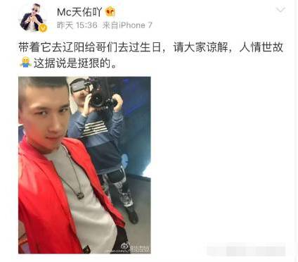 今日头条新闻，流浪的孤独老狼与yy的温暖拥抱，流浪老狼与YY的温馨相遇，今日头条新闻聚焦孤独与关爱时刻