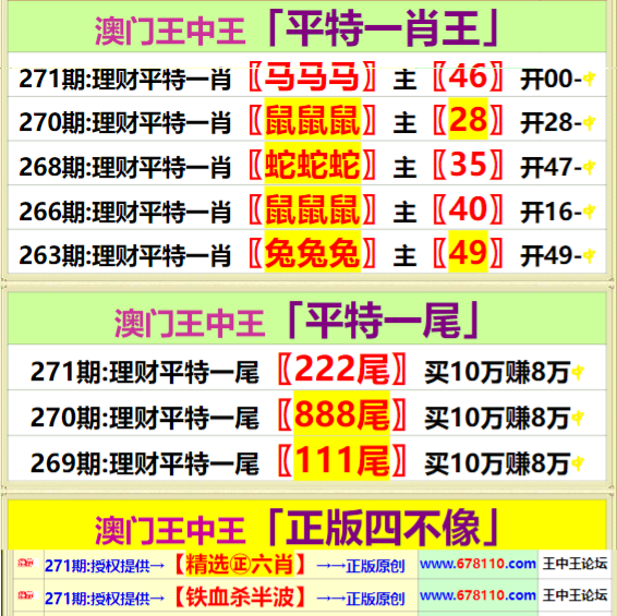 王中王资料一肖中特天查，深度解析与探讨，王中王资料一肖中特天查，深度解析与探讨揭秘
