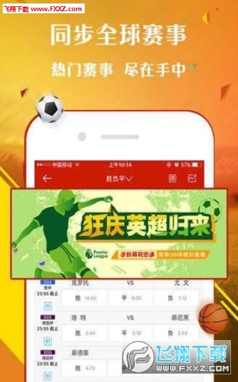 探索王中王一肖，一场寻找真相的旅程，揭秘王中王一肖，真相探寻之旅