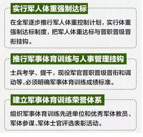 新的士兵制度改革，重塑军事力量，推动现代化进程，士兵制度改革重塑军事力量，推动现代化进程迈进新篇章