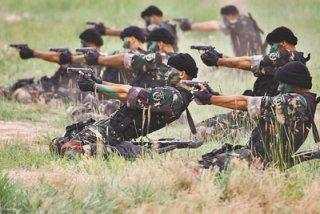 特种兵在猎人学校的经历与挑战，特种兵猎人学校经历与挑战纪实
