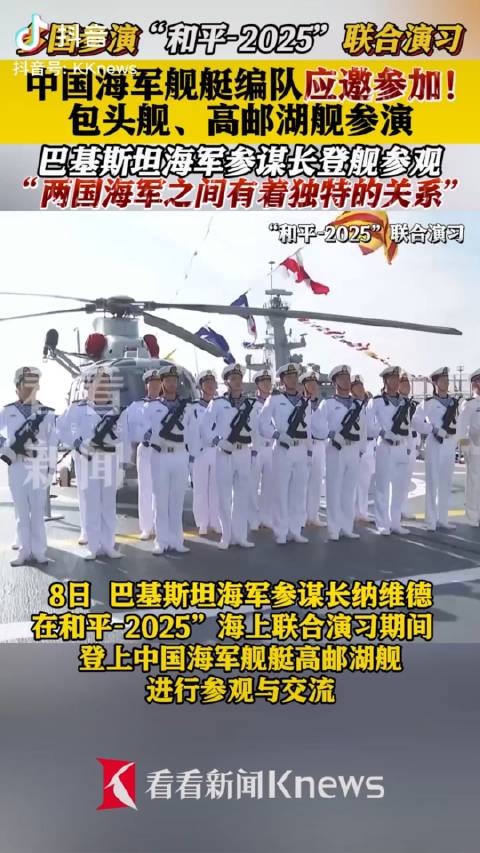 维护和平