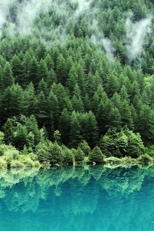 揭秘21式迷彩服涂色技巧，如何精准呈现颜色之美，揭秘21式迷彩服涂色技巧，呈现颜色之美的精准指南