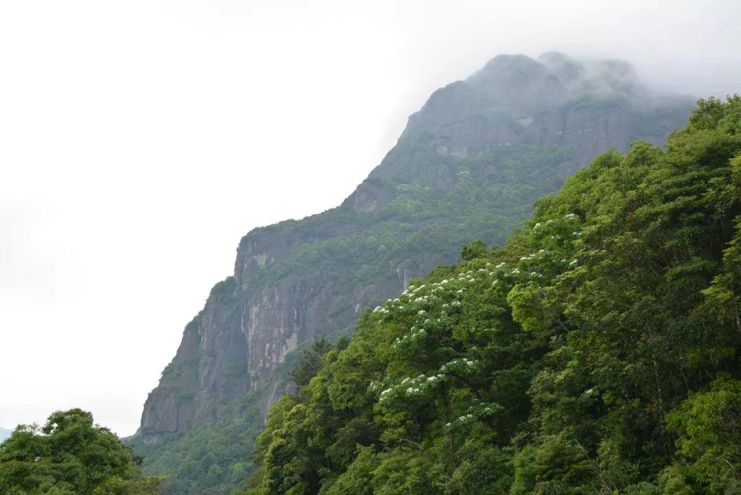 知识海洋
