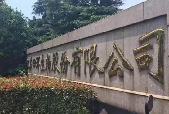 陆克平，一位杰出的企业家与社会领导者，陆克平，杰出企业家与社会领导者的典范