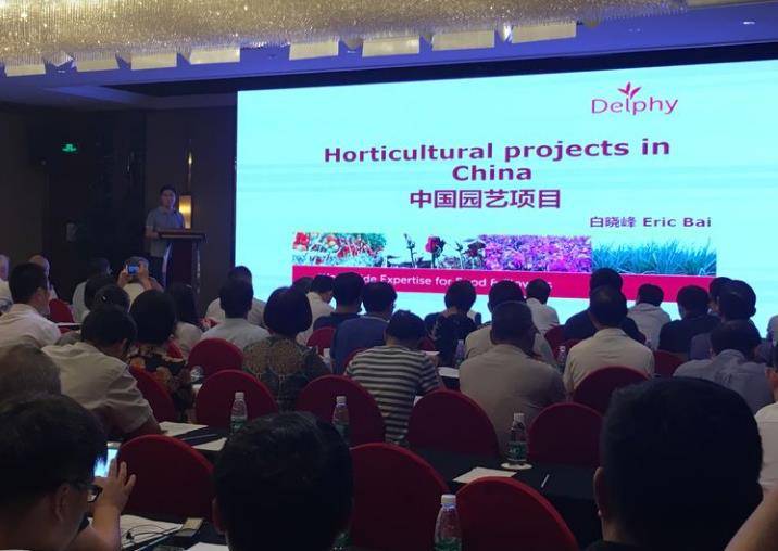 中国国情战略研究中心，探索与洞察中国发展的核心力量，中国国情战略研究中心，探索中国发展核心力量的先锋