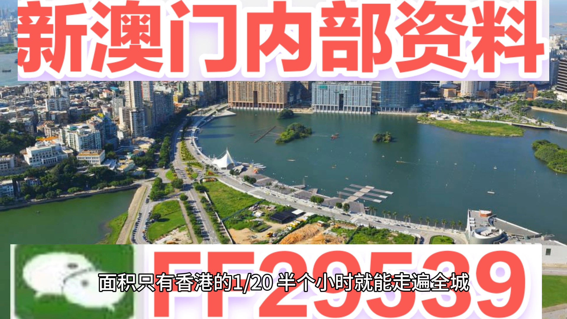 探索澳门未来，2025年新澳门开牛的行情展望，澳门未来展望，2025年新澳门开牛的行情探索