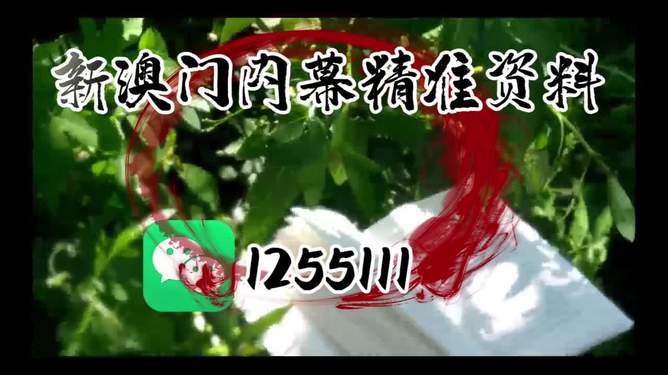 生肖预测