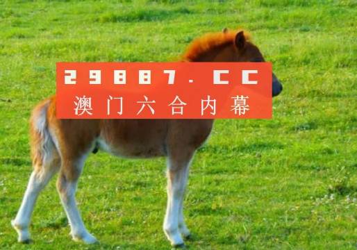 解读与探索（或探索与解读）