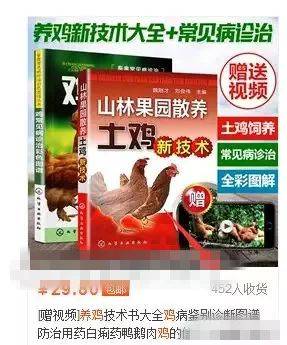 王中王298期指一生肖——探寻背后的文化魅力与生肖奥秘，探寻生肖文化魅力与奥秘，王中王298期指一生肖揭秘
