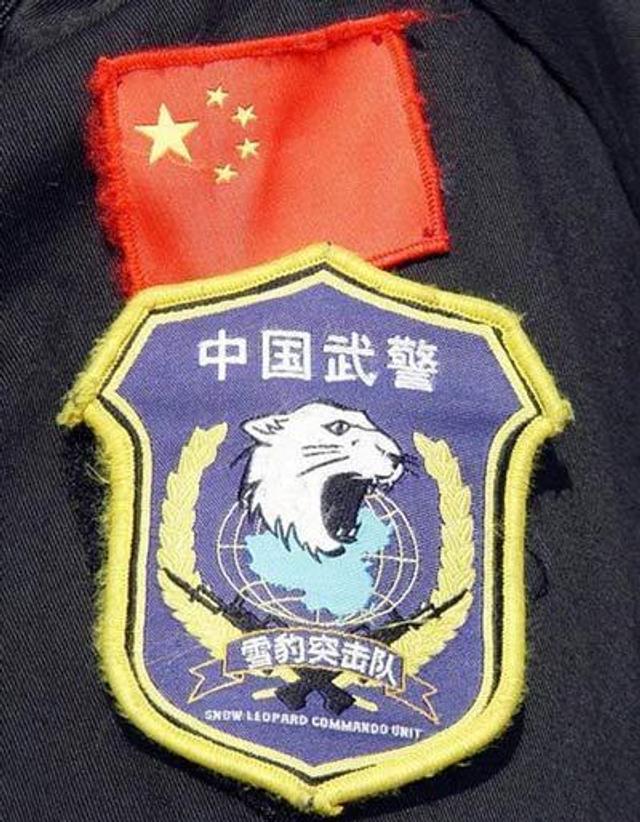 雪豹突击队