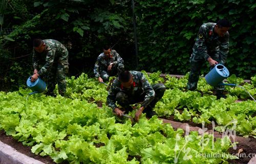 湄公河装甲巡逻艇，守护流域安全的钢铁卫士，湄公河装甲巡逻艇，流域安全的钢铁卫士