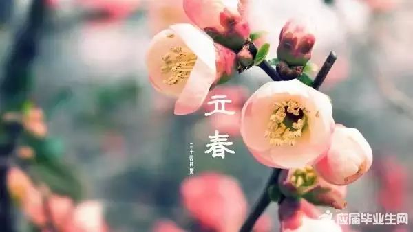 今日立春时辰——万物复苏，新岁启程，立春时辰，万物复苏，新岁启程启航季