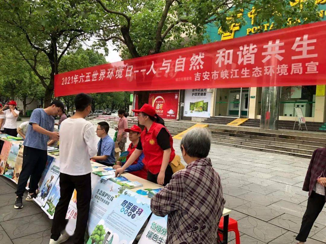 六月五号澳门开奖结果，揭秘彩票背后的故事，六月五号澳门彩票开奖揭秘，彩票背后的故事浮出水面