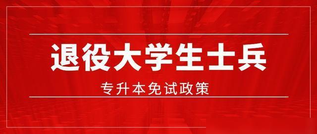 当兵免试专升本政策，解读与探讨，当兵免试专升本政策解读与探讨