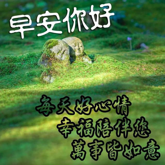 澳门 第64页