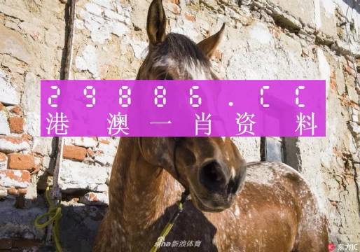 王中王曾人一肖中特免费，揭秘彩票背后的秘密，揭秘彩票背后的秘密，王中王曾人一肖中特免费解析
