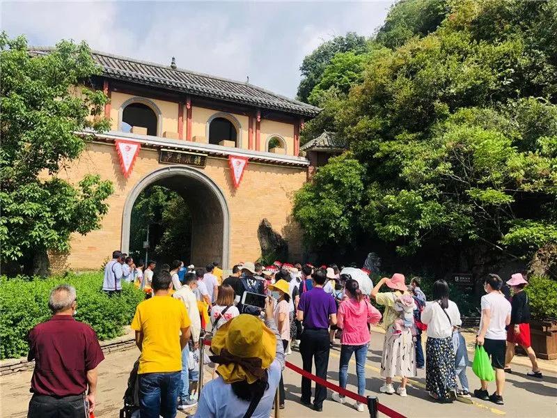 云南弥勒今日特大新闻揭秘，云南弥勒今日重大新闻揭秘