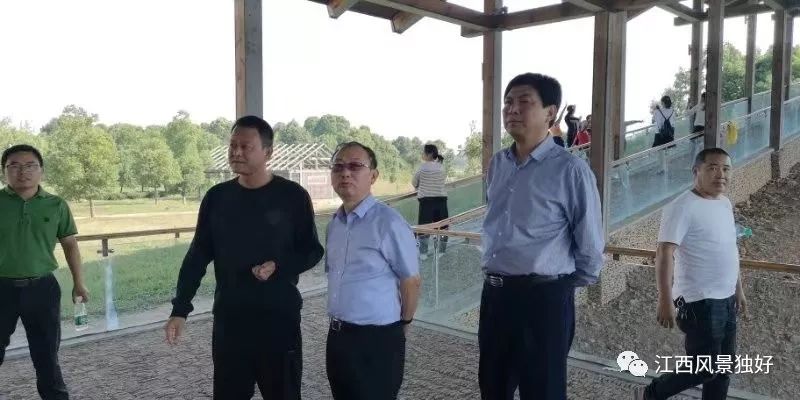 易练红最新消息，展现新时代领导风采，易练红最新动态，展现新时代领导风采