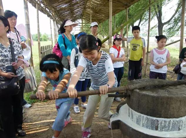 原中国人民解放军西南军区第十四集团军，历史与荣耀的见证，原中国人民解放军西南军区第十四集团军，历史与荣耀的辉煌见证