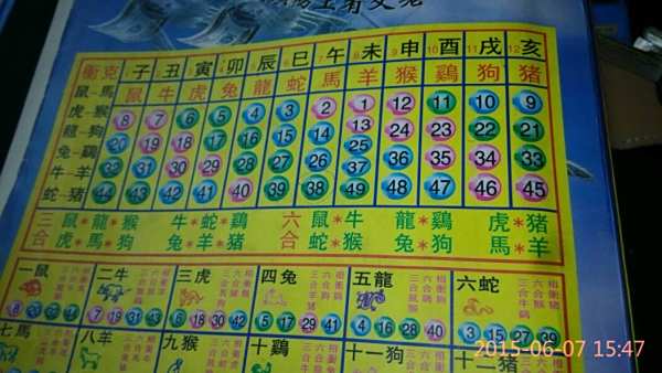 揭秘12生肖开奖记录，历史数据与运势洞察，揭秘生肖开奖秘密，历史数据与运势深度解析
