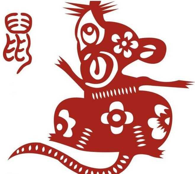 揭秘精准四生肖，神秘数字组合77777与88888的奥秘，揭秘精准四生肖与神秘数字组合77777与88888的奥秘探秘