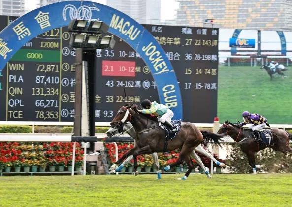 香港马，探索赛马运动的魅力与传奇故事，香港赛马，探索魅力与传奇故事