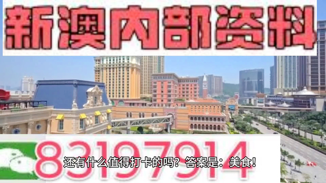 澳门天天免费精准大全谜语，探索神秘的文化现象，澳门天天免费精准谜语大全，探索文化神秘现象
