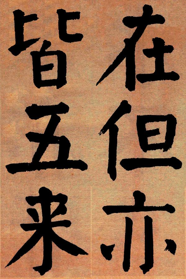 状元红高手坛，一种文化传承与知识共享的盛宴，状元红高手坛，文化传承与知识共享盛宴开启