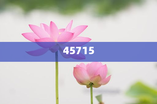 探索未来，揭秘2025新澳天天精准大全的谜语世界，揭秘未来，探索新澳天天精准大全的谜语世界 2025展望