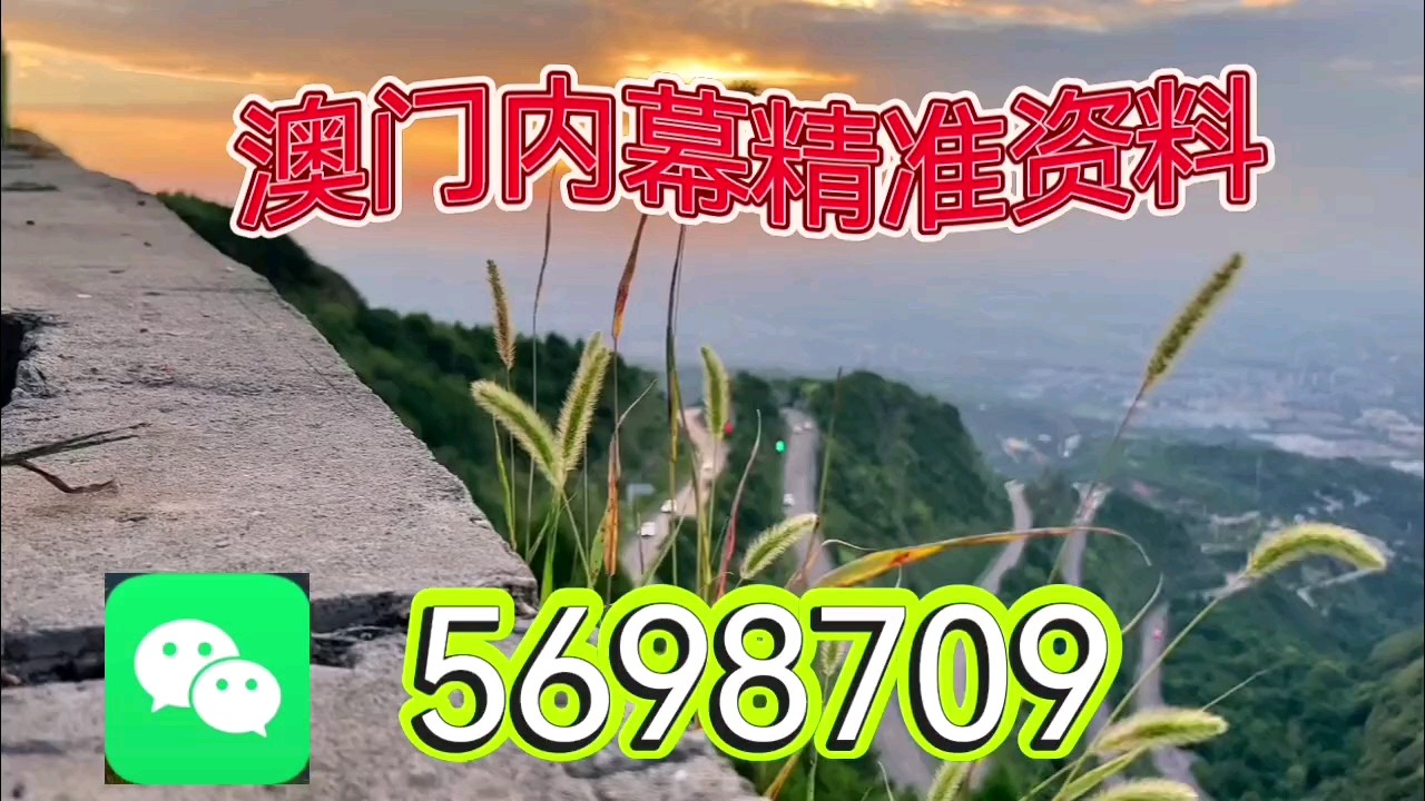 新澳门天天开奖资料大全，探索彩票世界的奥秘，新澳门天天开奖资料大全，揭开彩票世界的神秘面纱