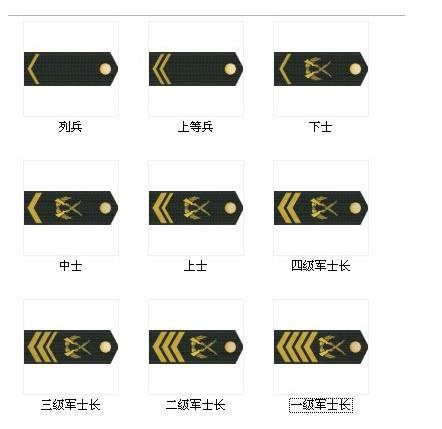 军官的军衔标志，象征荣耀与职责的徽章，军官军衔标志，荣耀与职责的象征徽章
