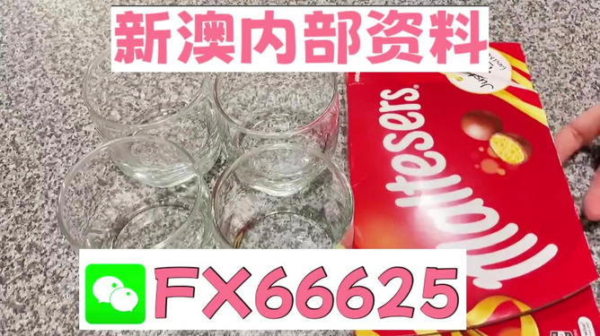澳门49图正版资料，探索与解析，澳门49图正版资料深度解析与探索