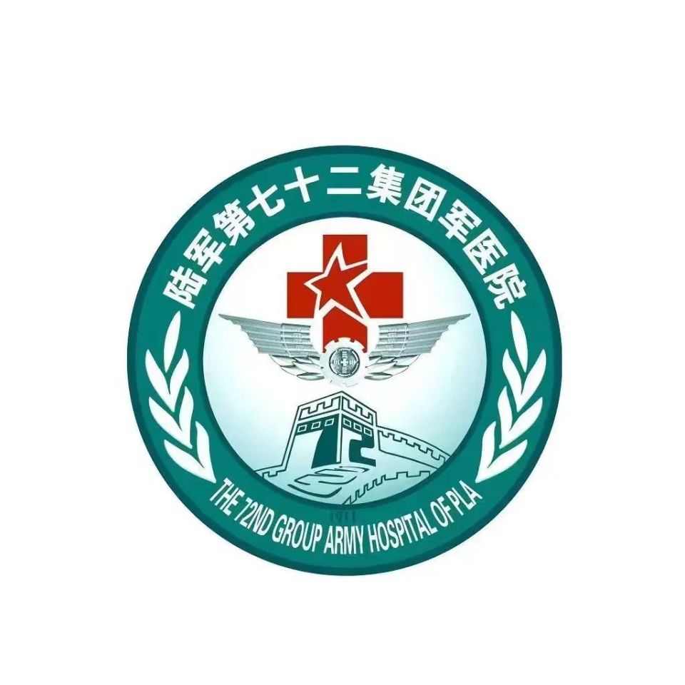 中国陆军现有的集团军数量及其战略意义，中国陆军集团军数量及其战略地位与意义概述