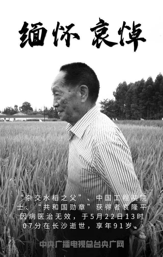 三军仪仗队抬棺袁隆平，荣耀与敬意并行，袁隆平荣享三军仪仗队抬棺礼遇，荣耀与敬意共融时刻