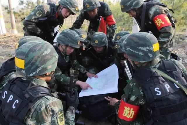 中国人民武装警察部队特种警察学院，培育顶尖特种人才的摇篮，中国人民武装警察部队特种警察学院，顶尖特种人才的培育摇篮