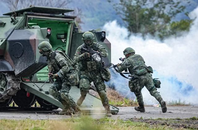 陆军兵种，多样性与战略价值，陆军兵种，多样性与战略价值解析