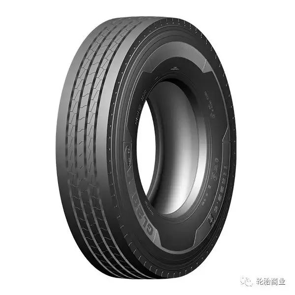 王中王295期指一生肖，探寻生肖文化中的奥秘与智慧，探寻生肖文化中的奥秘与智慧，王中王295期指一生肖