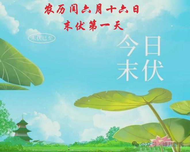 今天是末伏第一天——探寻末伏的意义与重要性，末伏第一天，探寻末伏的意义与影响的重要性