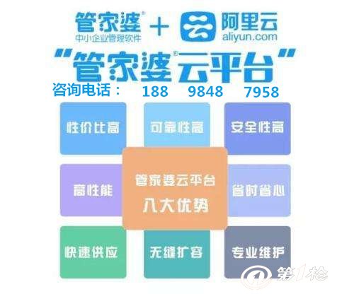 管家婆的资料一肖中特，揭秘精准预测的魅力与智慧，揭秘管家婆资料一肖中特，精准预测背后的智慧与魅力