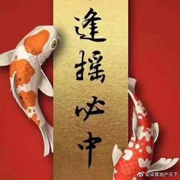 一肖不像必中，探索命运中的不确定性与自我超越，探索命运中的不确定性与自我超越，一肖不像必中