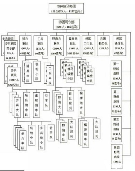 现代陆军编制，构建高效战斗力的基石，现代陆军编制，高效战斗力的构建基石