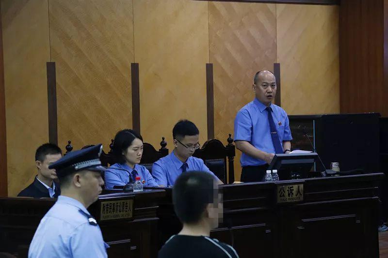 杨宇的出生地与成长背景，杨宇的出生地与成长历程探索