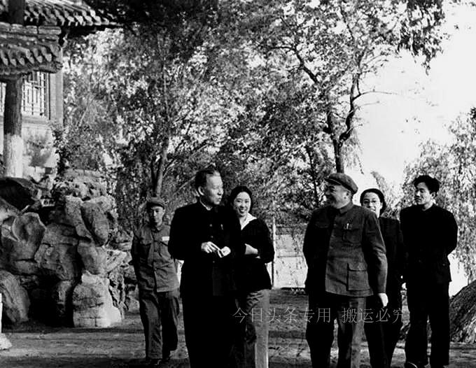 补发宝现任职务，引领未来，铸就辉煌，补发宝职务重塑未来，铸就辉煌成就