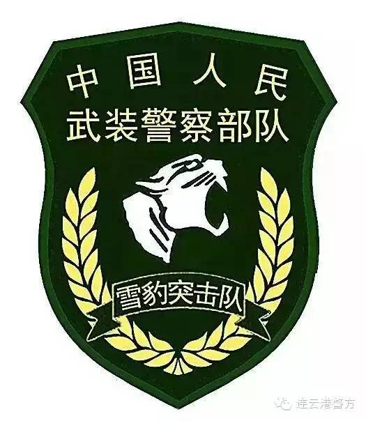 国宾护卫队臂章高清，荣耀的象征与职责的展现，国宾护卫队臂章高清，荣耀与职责的象征