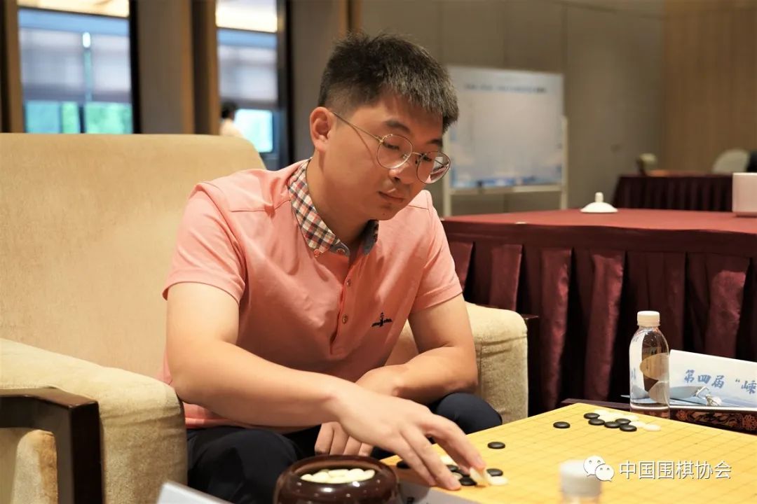 王中王一肖科资料,探究其背景、成就与影响,揭秘王中王一肖科,背景、成就与深远影响