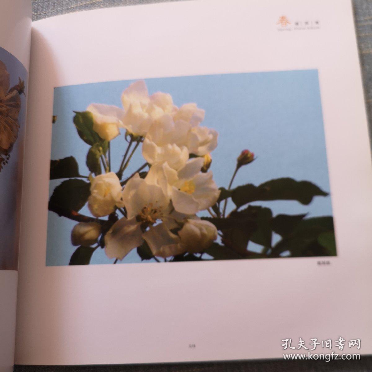 曹栓泽将军,英勇忠诚的军事领袖,曹栓泽将军,英勇忠诚的军事领袖传奇