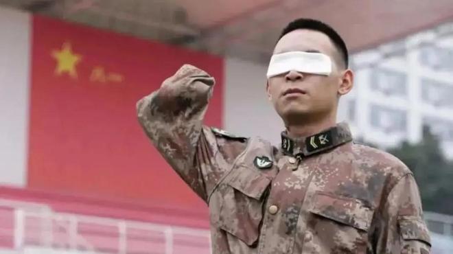 八一勋章与儿女提干，荣誉背后的考量与探讨，八一勋章与儿女提干，荣誉背后的多重考量与深度探讨