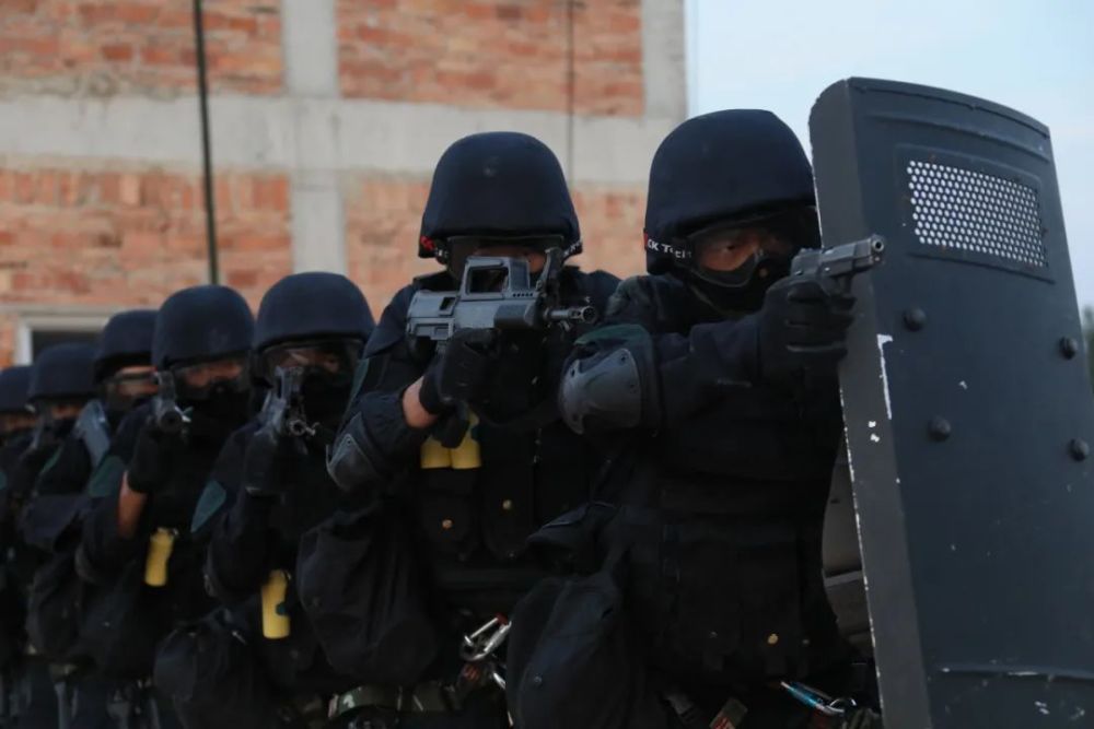 何龙蛟龙突击队,英勇无畏的先锋力量,何龙蛟龙突击队,先锋力量的英勇展现