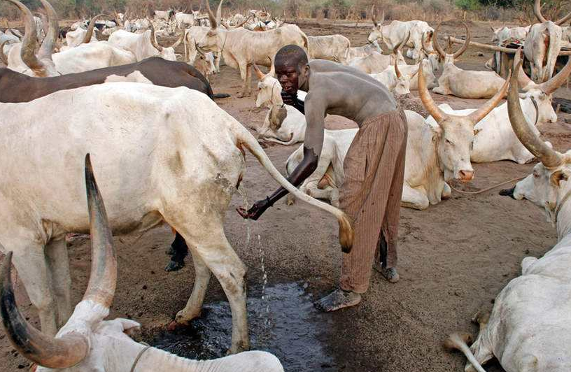 王中王四不像必正一肖——探寻神秘文化符号背后的深意，探寻神秘文化符号王中王四不像必正一肖背后的深意